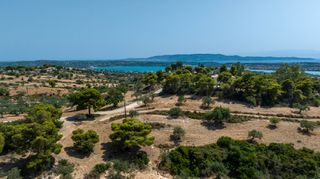 Αγροτεμάχια 11.064 τ.μ. για πώληση