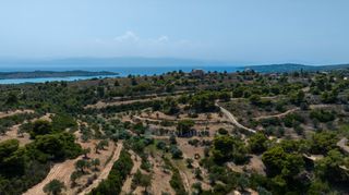 Αγροτεμάχια 69.900 τ.μ. για πώληση, Αργολίδα, Κρανίδι-thumb-3