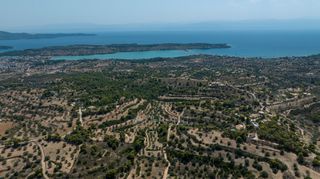 Αγροτεμάχια 69.900 τ.μ. για πώληση, Αργολίδα, Κρανίδι-thumb-10