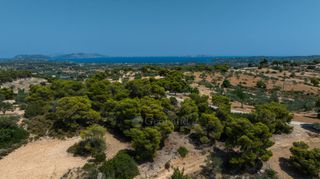 Αγροτεμάχια 69.900 τ.μ. για πώληση, Αργολίδα, Κρανίδι-thumb-11