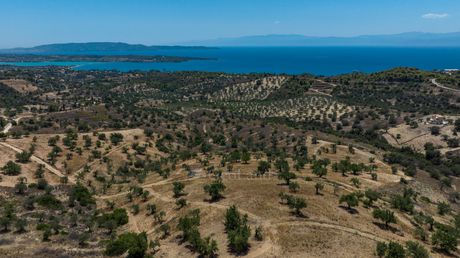 Αγροτεμάχια 50.000τ.μ. για πώληση-Κρανίδι » Βερβερούδα