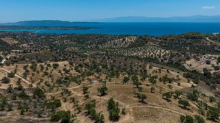 Αγροτεμάχια 50.000 τ.μ. για πώληση