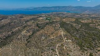 Αγροτεμάχια 50.000 τ.μ. πρός πώληση, Αργολίδα, Κρανίδι-thumb-17