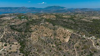 Αγροτεμάχια 50.000 τ.μ. πρός πώληση, Αργολίδα, Κρανίδι-thumb-20