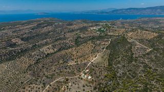 Αγροτεμάχια 50.000 τ.μ. πρός πώληση, Αργολίδα, Κρανίδι-thumb-12