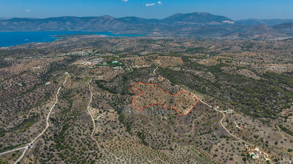 Αγροτεμάχια 50.000 τ.μ. προς πώληση, Αργολίδα, Κρανίδι