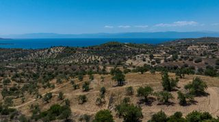 Αγροτεμάχια 50.000 τ.μ. πρός πώληση, Αργολίδα, Κρανίδι-thumb-5