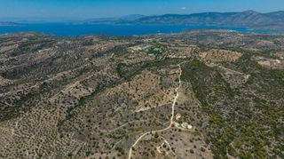 Αγροτεμάχια 50.000 τ.μ. πρός πώληση, Αργολίδα, Κρανίδι-thumb-15