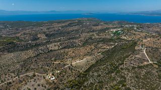 Αγροτεμάχια 50.000 τ.μ. πρός πώληση, Αργολίδα, Κρανίδι-thumb-23