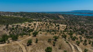 Αγροτεμάχια 50.000 τ.μ. πρός πώληση, Αργολίδα, Κρανίδι-thumb-9