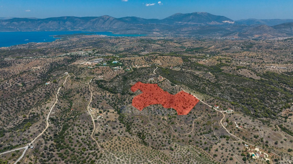 Αγροτεμάχια 50.000 τ.μ. προς πώληση, Αργολίδα, Κρανίδι