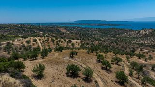 Αγροτεμάχια 50.000 τ.μ. πρός πώληση, Αργολίδα, Κρανίδι-thumb-11