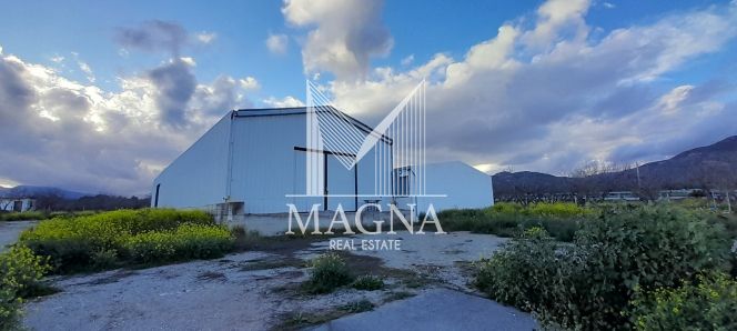 Warehouse 1.100 sqm for rent, Rest Of Attica, Megara