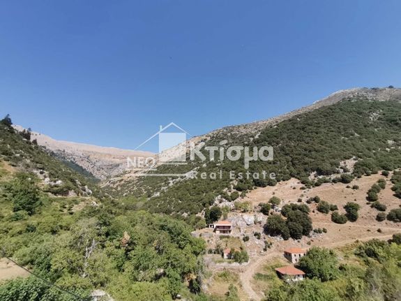 Μονοκατοικία 100 τ.μ. για πώληση, Ν. Ηλείας, Λάμπεια