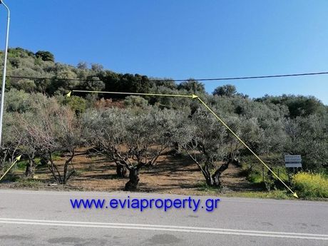 Parcel 756sqm for sale-Limni » Sipiada