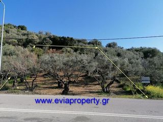 Αγροτεμάχια 756 τ.μ. για πώληση