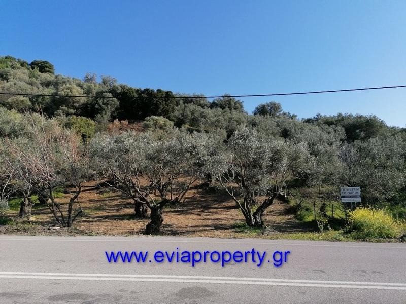 Αγροτεμάχια 756 τ.μ. προς πώληση, Σηπιάδα Λίμνης