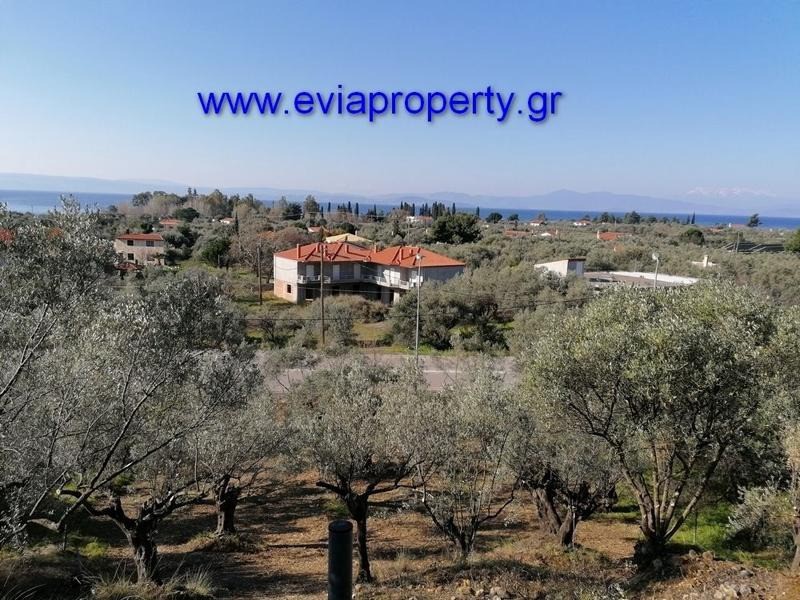 Αγροτεμάχια 756 τ.μ. προς πώληση, Σηπιάδα Λίμνης
