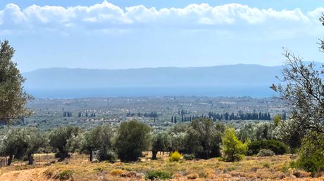 Parcel 10.000 sqm for sale