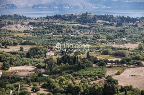 Land plot 30.000 sqm for sale