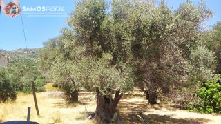 Land plot 1.630 sqm for sale, Samos Prefecture, Samos-thumb-1