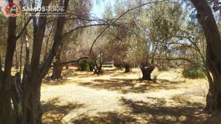 Land plot 1.630 sqm for sale, Samos Prefecture, Samos-thumb-2