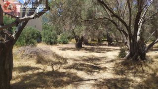 Land plot 1.630 sqm for sale, Samos Prefecture, Samos-thumb-3