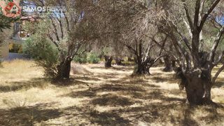 Land plot 1.630 sqm for sale, Samos Prefecture, Samos-thumb-4