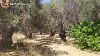 Land plot 1.630 sqm for sale, Samos Prefecture, Samos-thumb-5