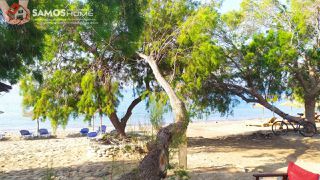 Κατοικία 120 τ.μ. για ενοικίαση, Ν. Σάμου, Σάμος-thumb-15