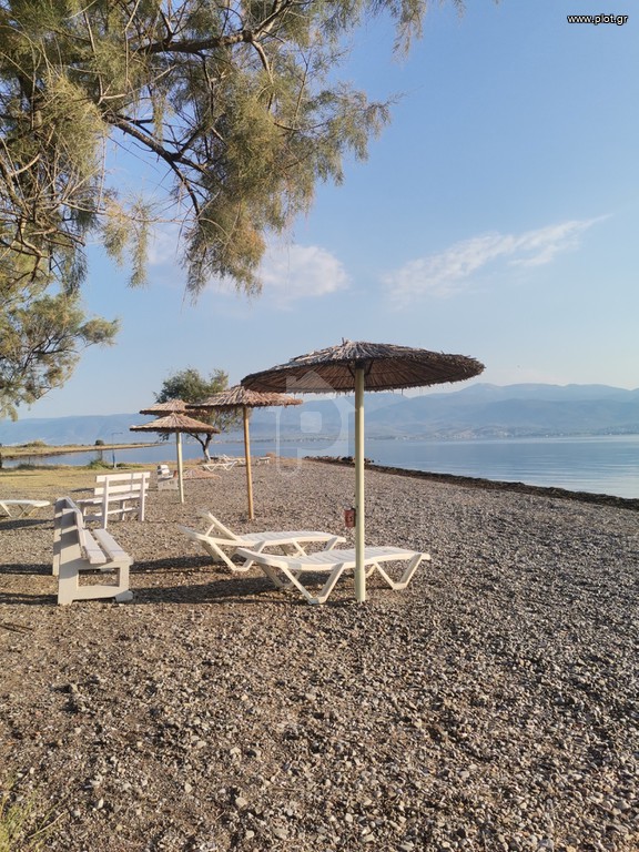 Οικόπεδο 4.800 τ.μ. προς πώληση, Καμένα Βούρλα