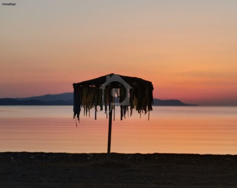 Οικόπεδο 4.800 τ.μ. προς πώληση, Καμένα Βούρλα
