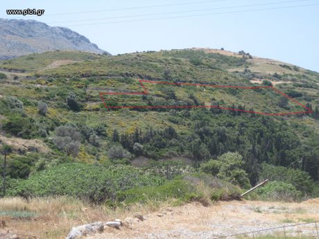 Land plot 5.500 sqm for sale