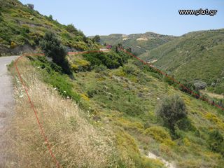 Οικόπεδο 5.500 τ.μ. για πώληση, Εύβοια, Αυλώνα-thumb-1