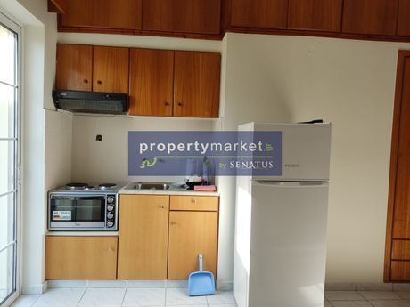 Studio 25 sqm for rent