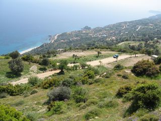 Αγροτεμάχια 4.000 τ.μ. για πώληση