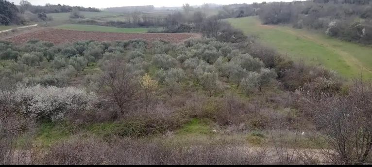 Parcel 4.400 sqm for sale, Kavala Prefecture, Chrisoupoli