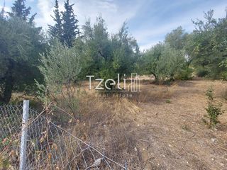 Αγροτεμάχια 2.000 τ.μ. για πώληση, Αχαΐα, Ρίο-thumb-6