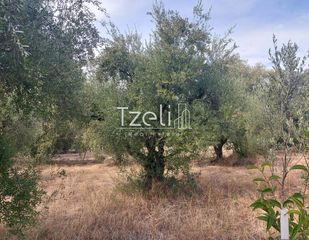 Αγροτεμάχια 2.000 τ.μ. για πώληση, Αχαΐα, Ρίο-thumb-8