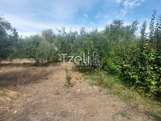 Αγροτεμάχια 2.000 τ.μ. για πώληση, Αχαΐα, Ρίο-thumb-17