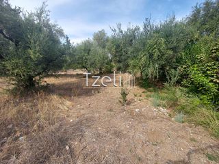 Αγροτεμάχια 2.000 τ.μ. για πώληση, Αχαΐα, Ρίο-thumb-5
