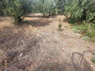 Αγροτεμάχια 2.000 τ.μ. για πώληση, Αχαΐα, Ρίο-thumb-16