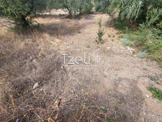 Αγροτεμάχια 2.000 τ.μ. για πώληση, Αχαΐα, Ρίο-thumb-24