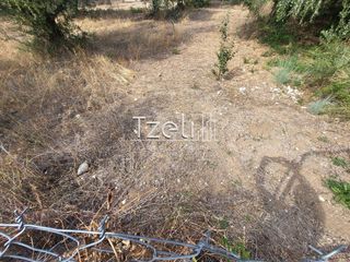 Αγροτεμάχια 2.000 τ.μ. για πώληση, Αχαΐα, Ρίο-thumb-18