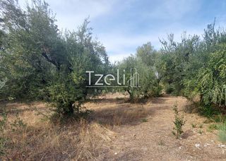 Αγροτεμάχια 2.000 τ.μ. για πώληση, Αχαΐα, Ρίο-thumb-10