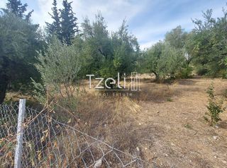 Αγροτεμάχια 2.000 τ.μ. για πώληση, Αχαΐα, Ρίο-thumb-12
