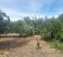 Αγροτεμάχια 2.000 τ.μ. για πώληση, Αχαΐα, Ρίο-thumb-3