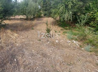 Αγροτεμάχια 2.000 τ.μ. για πώληση, Αχαΐα, Ρίο-thumb-14