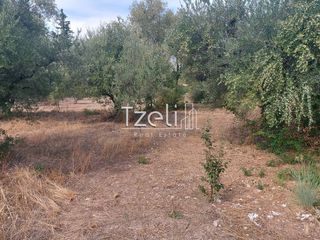 Αγροτεμάχια 2.000 τ.μ. για πώληση, Αχαΐα, Ρίο-thumb-26