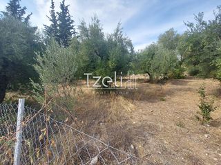 Αγροτεμάχια 2.000 τ.μ. για πώληση, Αχαΐα, Ρίο-thumb-19